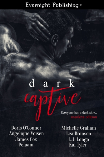 Dark-Captive2-Evernightpubishing-Jayaheer2016