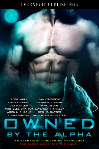 Owned-by-the-Alpha-Antho1-EvernightPublishing2017-MF-eBook-complete